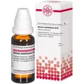 Aurum Metallicum D 12 Dilution 20 ml