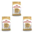 ROYAL CANIN Chihuahua Adult | 3er Pack| 3 x 500 g | Trockenfutter für ausgewachsene Chihuahuas | Zur Unterstützung der Stuhlqualität und der Zahngesundheit | Hohe Akzeptanz