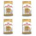 Royal Canin Chihuahua Adult | 4er Pack| 4 x 500 g | Trockenfutter für ausgewachsene Chihuahuas | Zur Unterstützung der Stuhlqualität und der Zahngesundheit | Hohe Akzeptanz