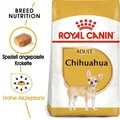 500g ROYAL CANIN Chihuahua Adult Hundefutter trocken