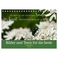 Bilder und Texte für die Seele (Tischkalender 2026 DIN A5 quer) CALVENDO Monatskalender von Tanja Schultz Fotografie/ Calvendo / Calvendo / Kalender
