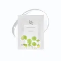 Beauty of Joseon Centella Asiatica Beruhigende Maske 10 Stück
