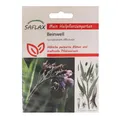 Beinwell - Heilpflanzen Saatgut 15 Samen - Symphytum officinale