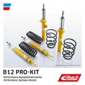 EIBACH Fahrwerkssatz, Federn/Dämpfer EIBACH B12 Pro-Kit Hinten Vorne