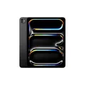 Apple iPad Pro 11.0 256GB M5 2025 Space Schwarz Sehr Gut