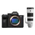 Sony Alpha 7 V (ILCE-7M5) + SEL 200-600mm f/5.6-6.3 G OSS