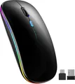 Bluetooth Maus Kabellos RGB Dualmodus Optische Funkmaus 1600 DPI Schwarz 2,4GHz