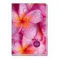 TRÖTSCH - Taschenkalender A6 Flowers 2027 Trötsch Verlag GmbH & Co. KG