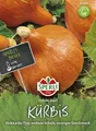 Kürbis Uchiki Kuri (Hokkaido-Typ)