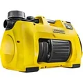 Haus- und Gartenpumpe BP 4 Home & Garden gelb/schwarz, 950 Watt, für Klarwasser