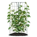 bellissa 1 Stück - Gurken-Gitter und Rankhilfe für Gurkenpflanzen und Gemüse – Rank- für Topfpflanzen grün 121x77 cm