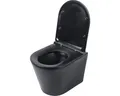 Differnz Wand-WC Set WC Tiefspüler ohne Spülrand schwarz matt mit WC-Sitz 38.500