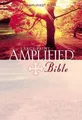Large Print Bible-AM by Zondervan 0310951720 FREE Shipping