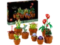 LEGO Botanicals 10329 Mini Pflanzen Bausatz, Mehrfarbig