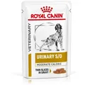 12x100 g HUND Royal Canin Urinary S/O Moderate Calorie