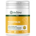 AniForte Plus Probiotikum Tabs für Hunde 90 Stück - Natürliche Präbiotika & Probiotika für Hunde, Stabilisiert die Verdauung & fördert eine gesunde Darmflora, mit aktiven Darmbakterien