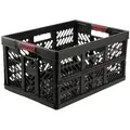 Klappbox "profi Ben
