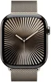 Apple Watch Series 10 46mm Cellular Titangehäuse natur Sehr Gut – Refurbished