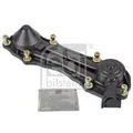 1x Abdeckblech, Bremssattel FEBI BILSTEIN 173101 passend für