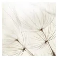 Bilderwelten Blumen Fototapete Vintage inkl. Kleister 288x288cm - Vliestapete Made in Germany - große Blumen Tapete Schlafzimmer - Landhaus Blumentapete 3D - Tapete floral Wohnzimmer Flur T_2245
