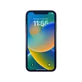 Apple iPhone XR 128 GB Schwarz iOS Smartphone A2105 MRY92ZD/A