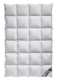 Arktic Kassetten Daunendecke Winterdecke extra-warm 100% Natur 8 cm Hochsteg 135x200 cm