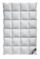 Arktic Daunenbettdecke Kassetten Daunendecke Winterdecke extra-warm 8 cm Hochsteg, Füllung: Daune, nicht spezifiziert, Bezug: 100% Baumwolle, 8 cm Innensteg, extra hohe Wärmehaltung, Wärmegrad 5