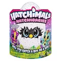 Hatchimals 6044070 HatchiBabies Ponette, Baby - Hatchimal mit interaktiven Accessoires