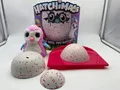Hatchimals Hatchibabies