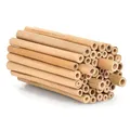Beesi Bambusröhrchen für Insektenhotel 100 Stück 10cm Länge I Insektenhaus für Wildbienen I Wildbienenhotel Nisthülsen Bienenhotel I Füllmaterial Bienenkasten Insektenkasten