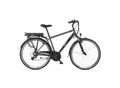 Telefunken XT481 Expedition 28" Trekking E-Bike Herren