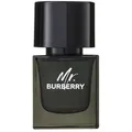 Burberry Mr. Burberry Eau de Parfum 150 ml