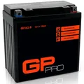 Batterie 12V 19Ah GEL GP-PRO GB16CL-B Motorrad Quad ähnlich YB16CL-B CB16CL-B