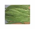 Stk - 25x Stockschnittbohne Algarve Stangenbohnen Gemüse - Samen KS556 - Seeds & Plants Shop by Ipsa