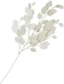Kunstzweig Lunaria Zweig, DPI, L 45cm