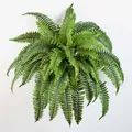 artplants.de Künstlicher Schwert Farn Samuel, 50 Blätter, grün, Ø 90cm, 60cm - Kunststoff Farn - Deko Farn