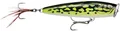SKITTER POP ELITE SPE75 GDLF