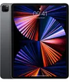 Apple iPad Pro 12.9" (2021) 256GB WiFi Space Grau  *WIE ...MwSt nicht ausweisbar