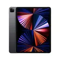 Apple iPad Pro 12,9" 2021 (5. Gen) A2378 256GB WiFi Space Grau Zustand GUT