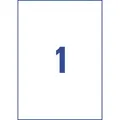 2-20x AVERY Zweckform Stark haftende Papier-Etiketten, 210 x 297mm