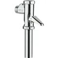 WC-Druckspüler Typ D69, mit Vorabsperrung (Ausführung: Druckspüler Nil Modell D-69 3/4'' chrom)