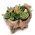 STOBOK Kreativer Vintage Beton Blumentopf Im Baumstamm Stil Sukkulenten Pflanzgefäß Rustikale Garten- Und Wohnaccessoire Dekoration Für Zuhause Und Büro 5.7X6.1X5.7 Zoll