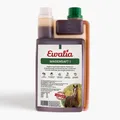 Ewalia Magensaft 1 für Pferde