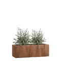 Pflanzwerk® Pflanzkübel TUB Rost 17x50x17cm XXL – Rechteckig – Großer Fiberglas Blumenkübel für Garten & Fensterbank außen und innen - Frostbeständig - UV-Schutz - Markenqualität