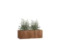 Pflanzwerk® Pflanzkübel TUB Frostbeständiger Fensterbank Premium Blumenkübel mit Lotus-Effekt, Fiberglas - Handgefertigt - Rechteckig – Frostbeständig