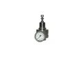 RIEGLER Druckregler Riegler Edelstahl-Druckregler, 1.4404, rücksteuerbar, G 1/4, 0,5 - 8 b