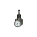 Riegler Edelstahl-Druckregler 1.4404 rücksteuerbar G 1/4 0,5 - 8 bar
