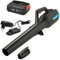 Gardena Akku-Bläser PowerJet 18V P4A mit 2,5 Ah Akku und Ladegerät