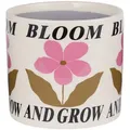 Butlers Blumentopf, Beige, Keramik, 15 cm, Dekoration, Blumen & Zubehör, Übertöpfe