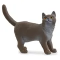 Schleich Britische Kurzhaar Katze (13973)